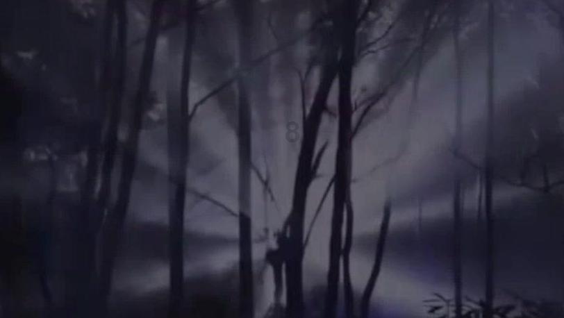 学习宠物美容好就业吗？游戏画面