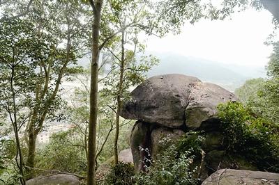 轻松问答-解答你的问题-旅游5元保险包括什么知识问答网页