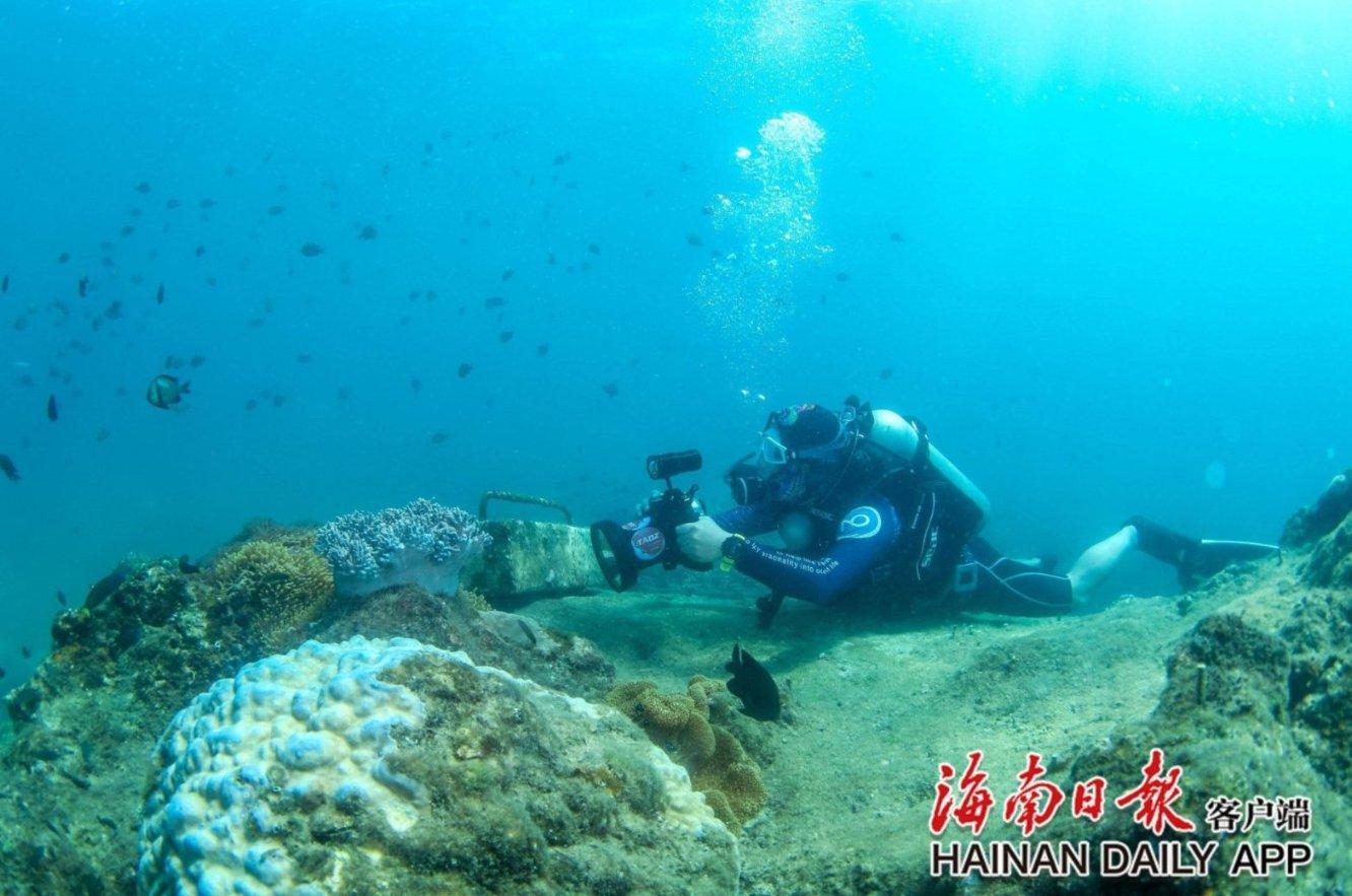 禅宗花园
