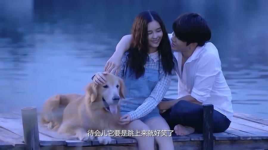 特发信息2涨停