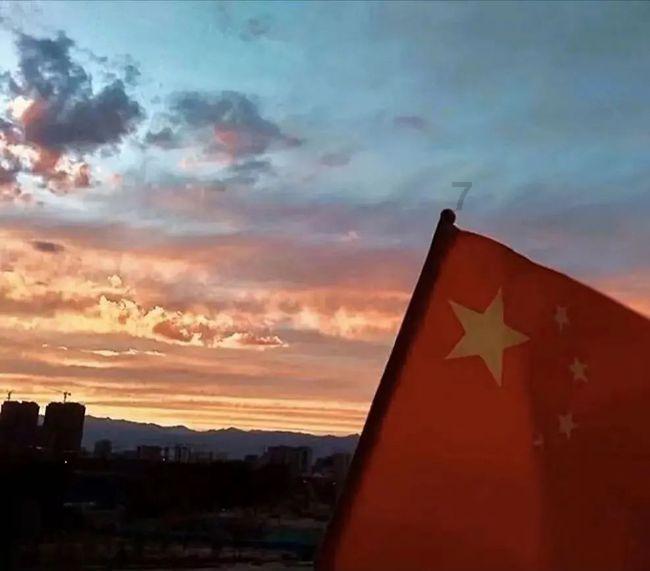救援海盗章鱼