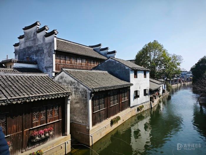 动物帮帮忙保卫家园